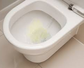 Những Dấu Hiệu Nhận Biết Hầm Cầu Đang Bị Đầy Mà Ít Người Để Ý